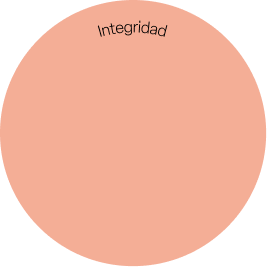 Gráfico representativo de la metodología 